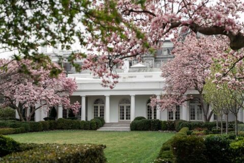 мелания трамп